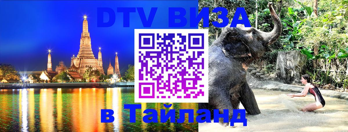 Сколько стоит DTV виза — актуальные цены, оформление даже без документов - 